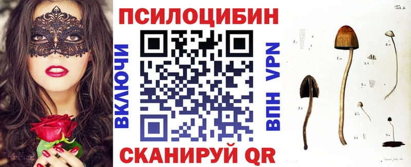 Купить где  Кочубеевское  Псилоцибиновые грибы Psilocybe 