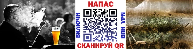 Шишки марихуана OG Kush Кочубеевское